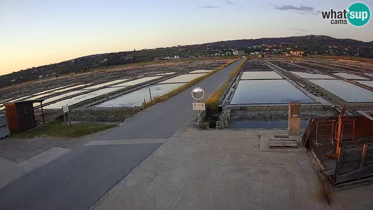 ﻿Sečovlje Salina Nature Park – KPSS