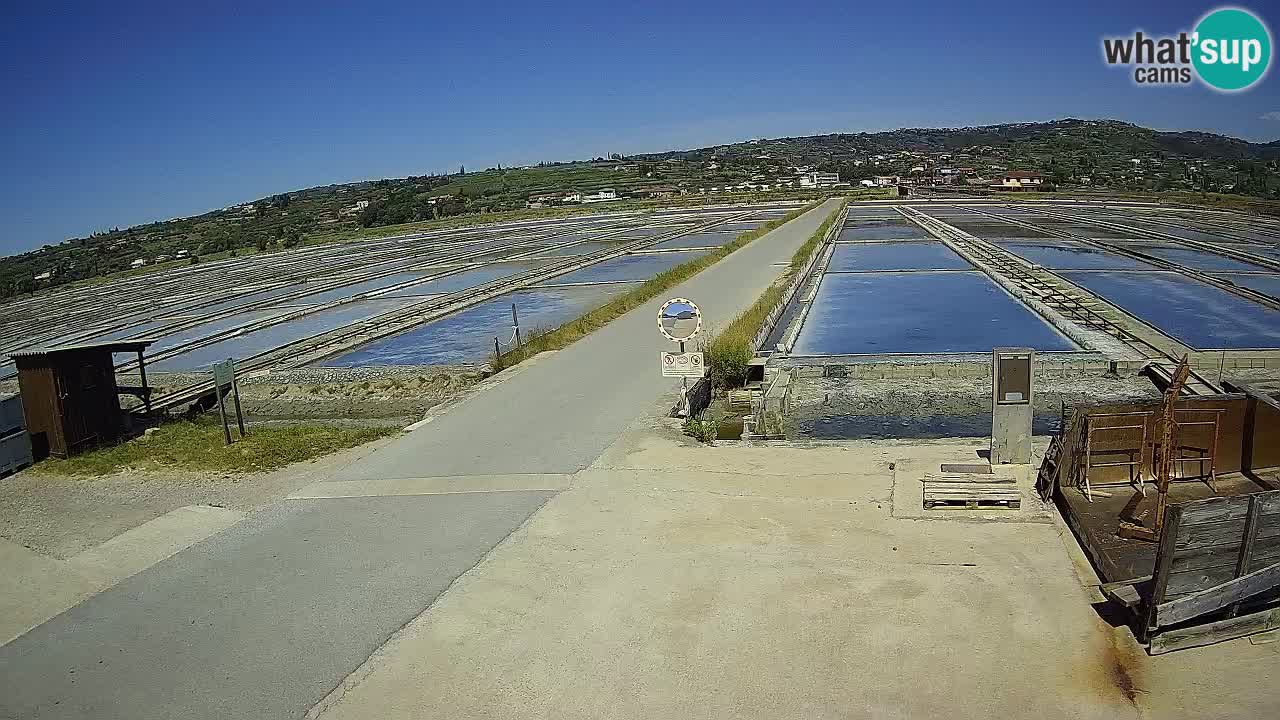 Sezza – Panorama e le saline