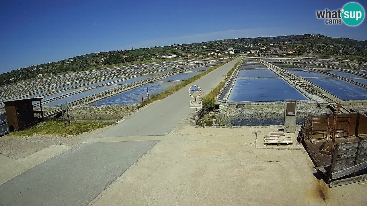 Parco Naturale Saline di Sicciole
