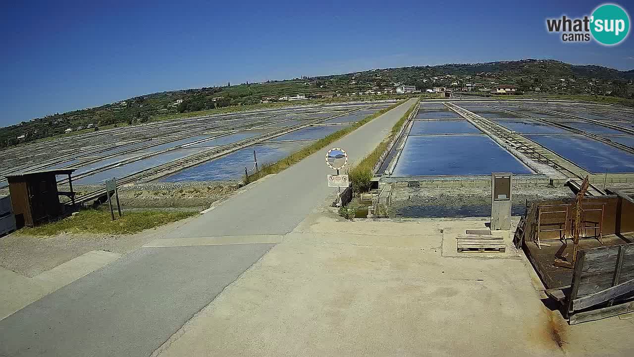 Parco Naturale Saline di Sicciole