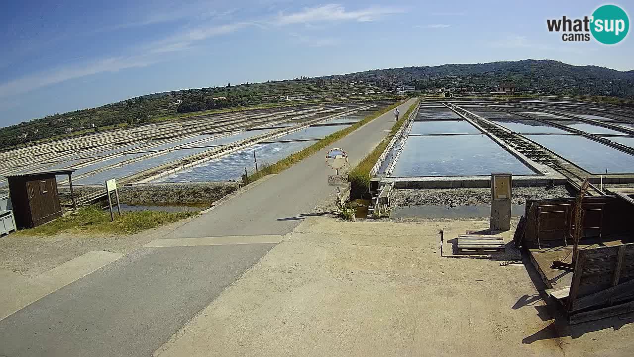 Parco Naturale Saline di Sicciole