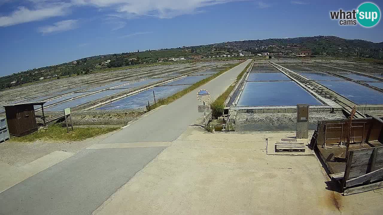 ﻿Sečovlje Salina Nature Park – KPSS