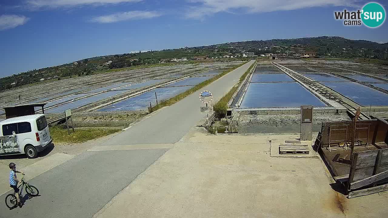 Parco Naturale Saline di Sicciole