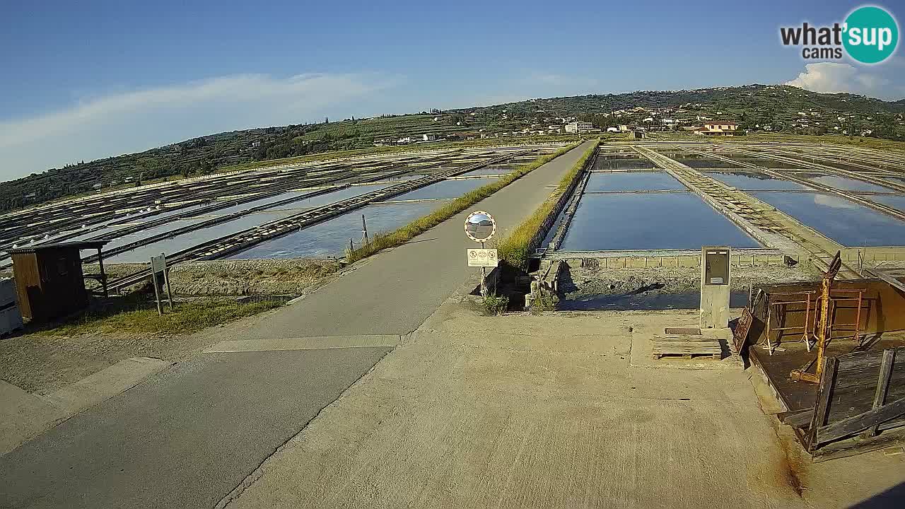 Krajinski Park Sečoveljske Soline