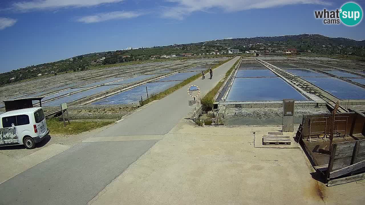 Sezza – Panorama e le saline
