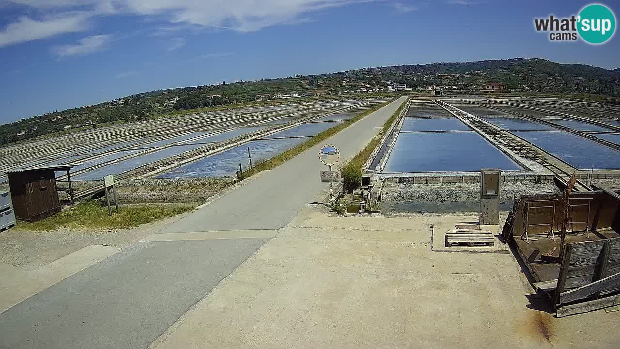 Sezza – Panorama e le saline