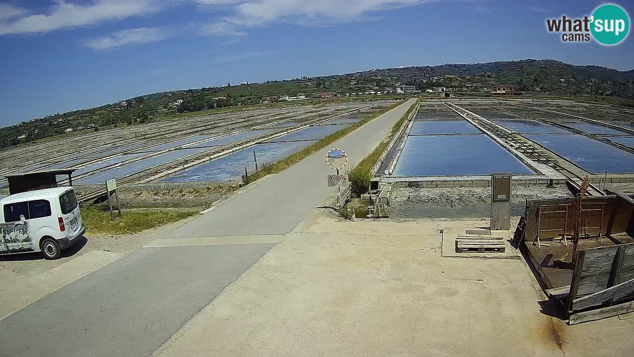 Parco Naturale Saline di Sicciole