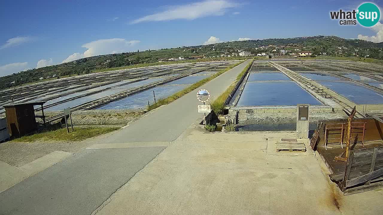 ﻿Sečovlje Salina Nature Park – KPSS