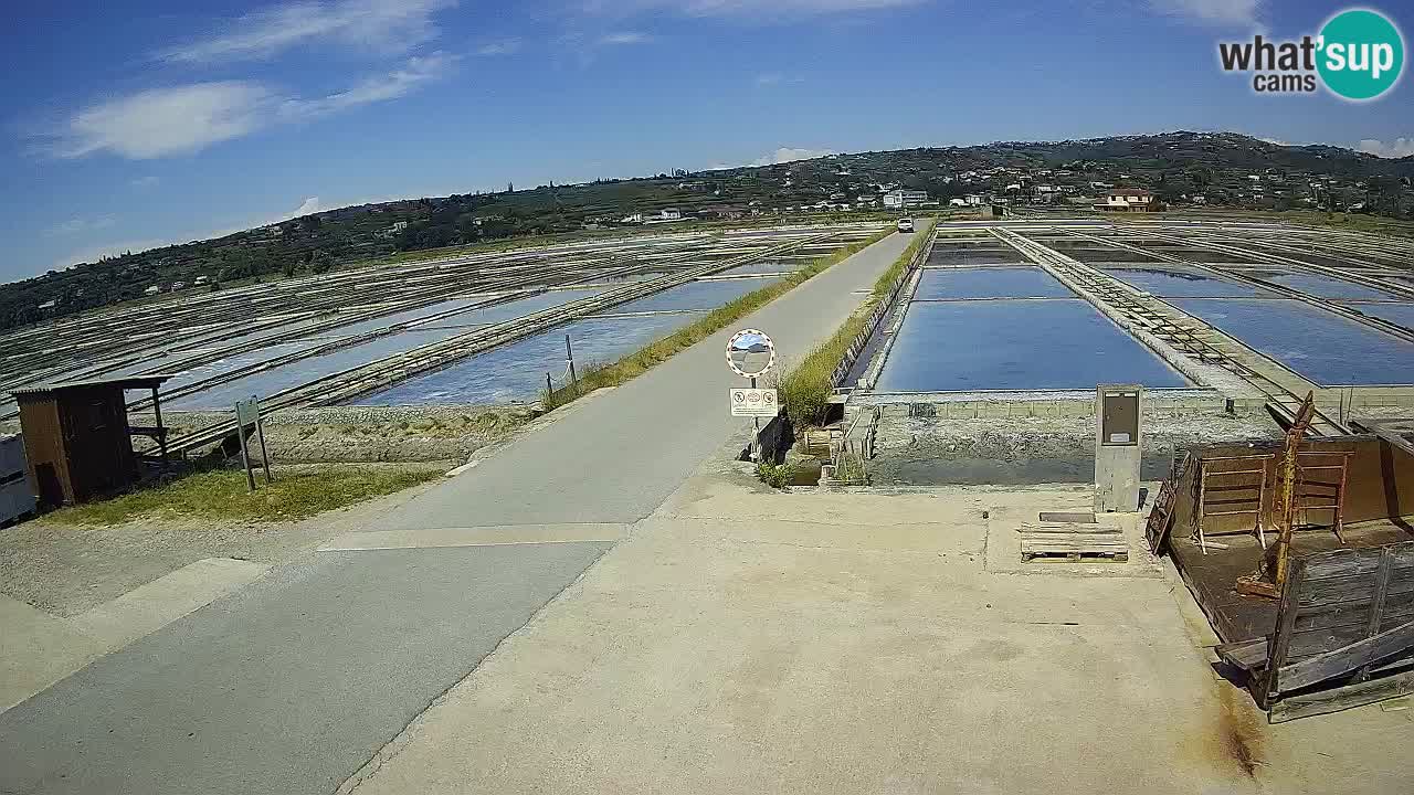 Sečovlje Salina Parque Natural