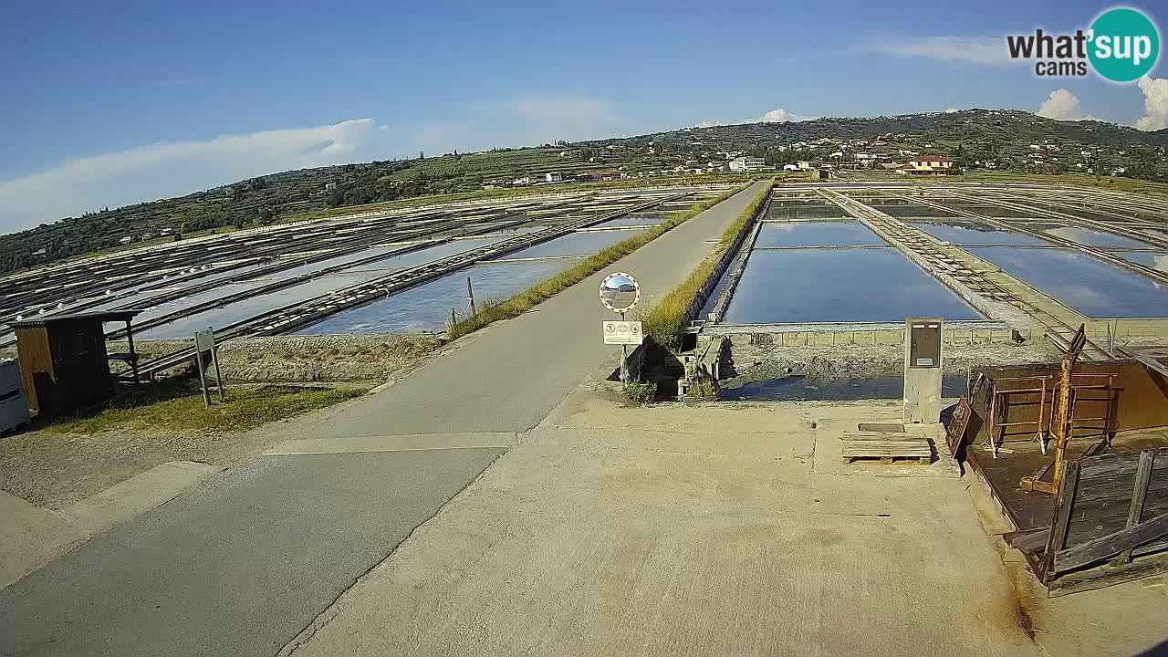 Park prirode Sečovlje Salina