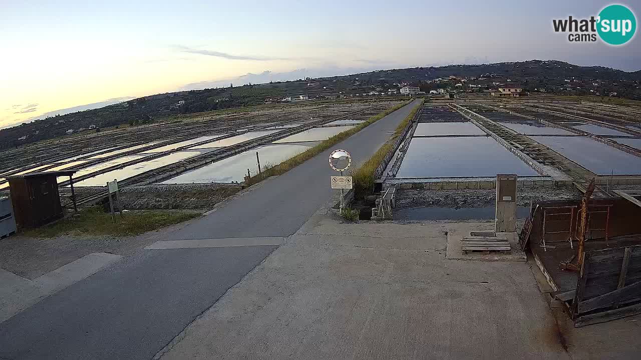 Sečovlje Salina Parque Natural