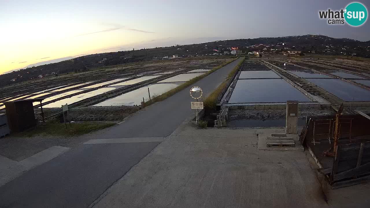 Sečovlje Salina Nature Park