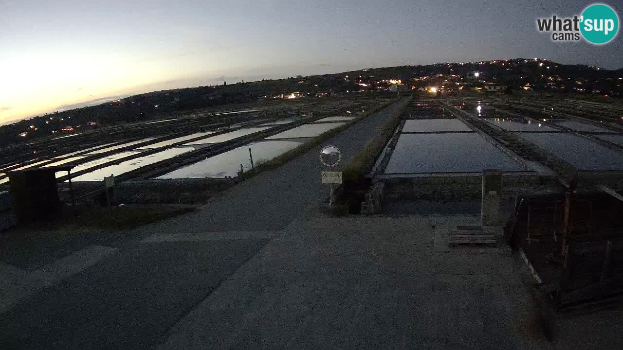 Sečovlje Salina Parque Natural