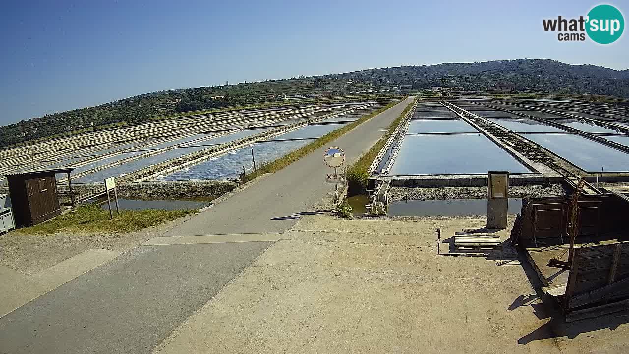 Parco Naturale Saline di Sicciole