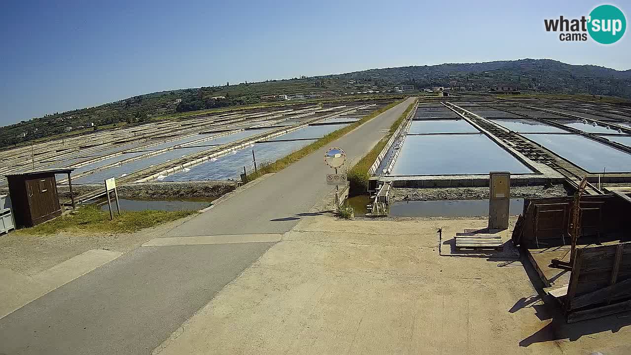 Krajinski Park Sečoveljske Soline