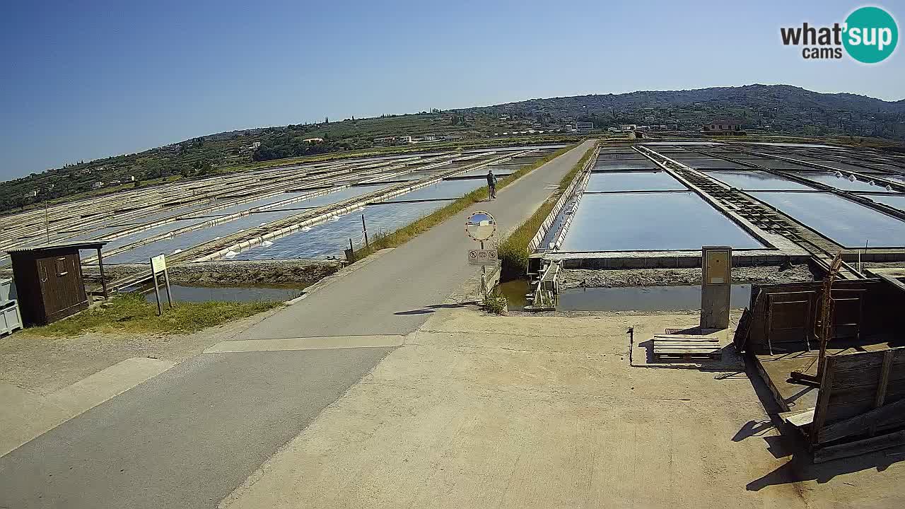 Naturpark der Salinen von Sečovlje