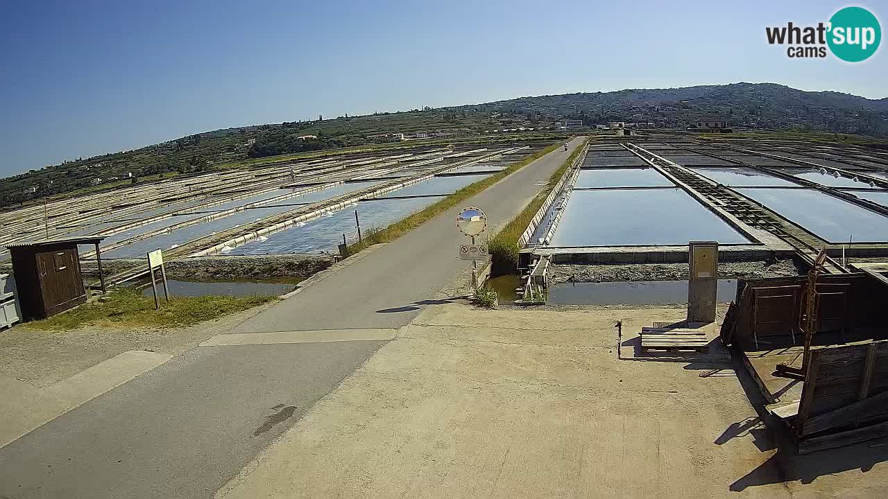 Sezza – Panorama e le saline