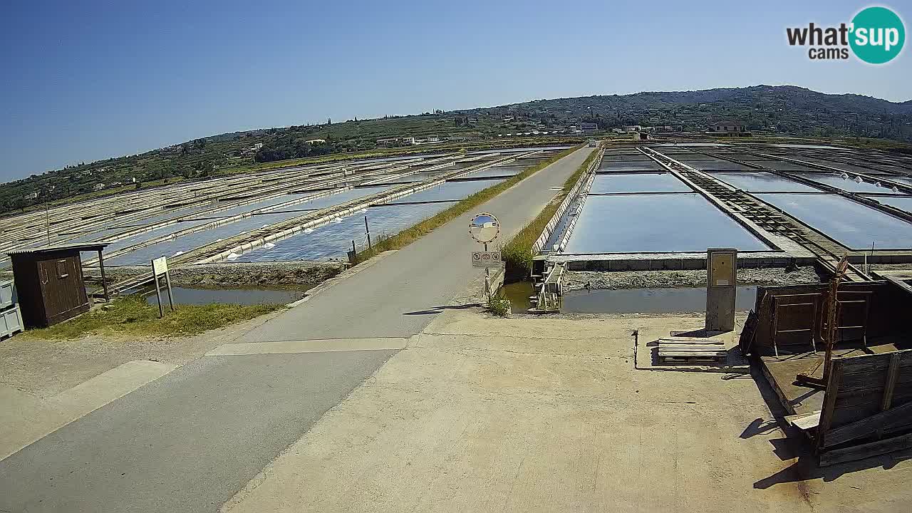 Sečovlje Salina Parque Natural