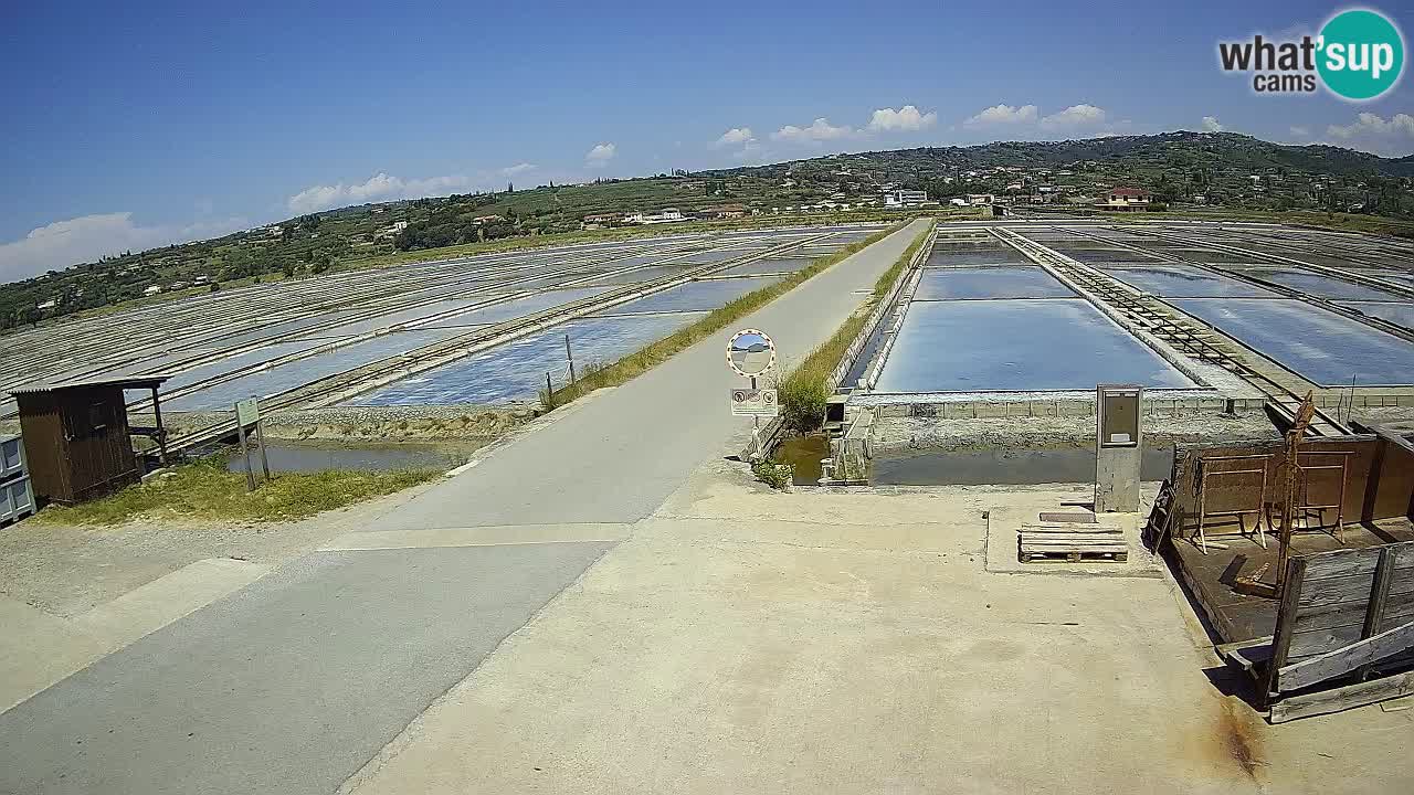 Sečovlje Salina Parque Natural