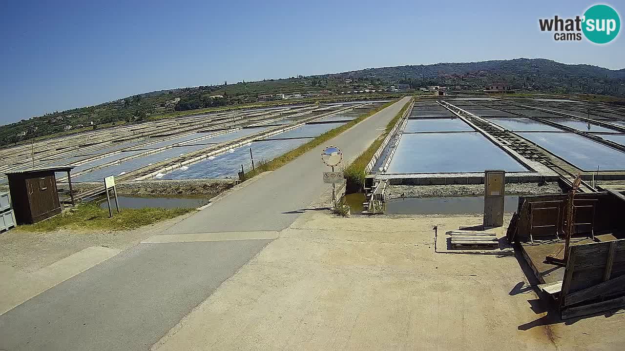 ﻿Sečovlje Salina Nature Park – KPSS