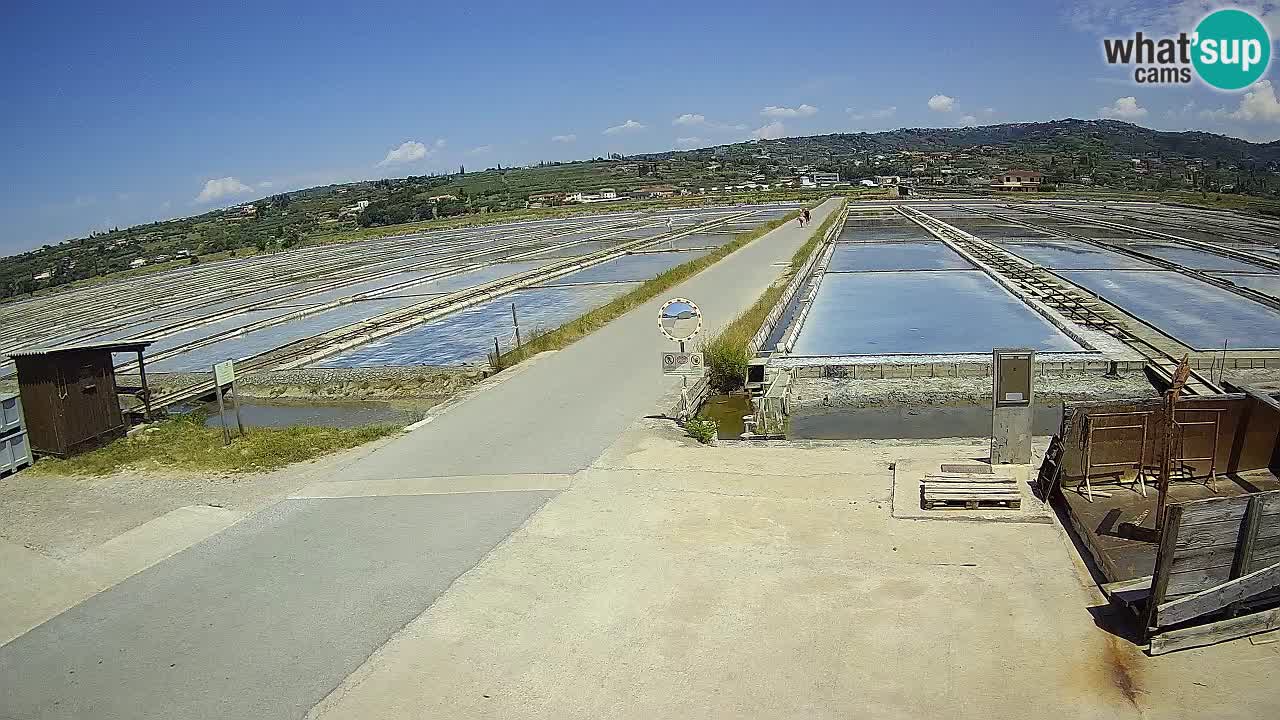 ﻿Sečovlje Salina Nature Park – KPSS