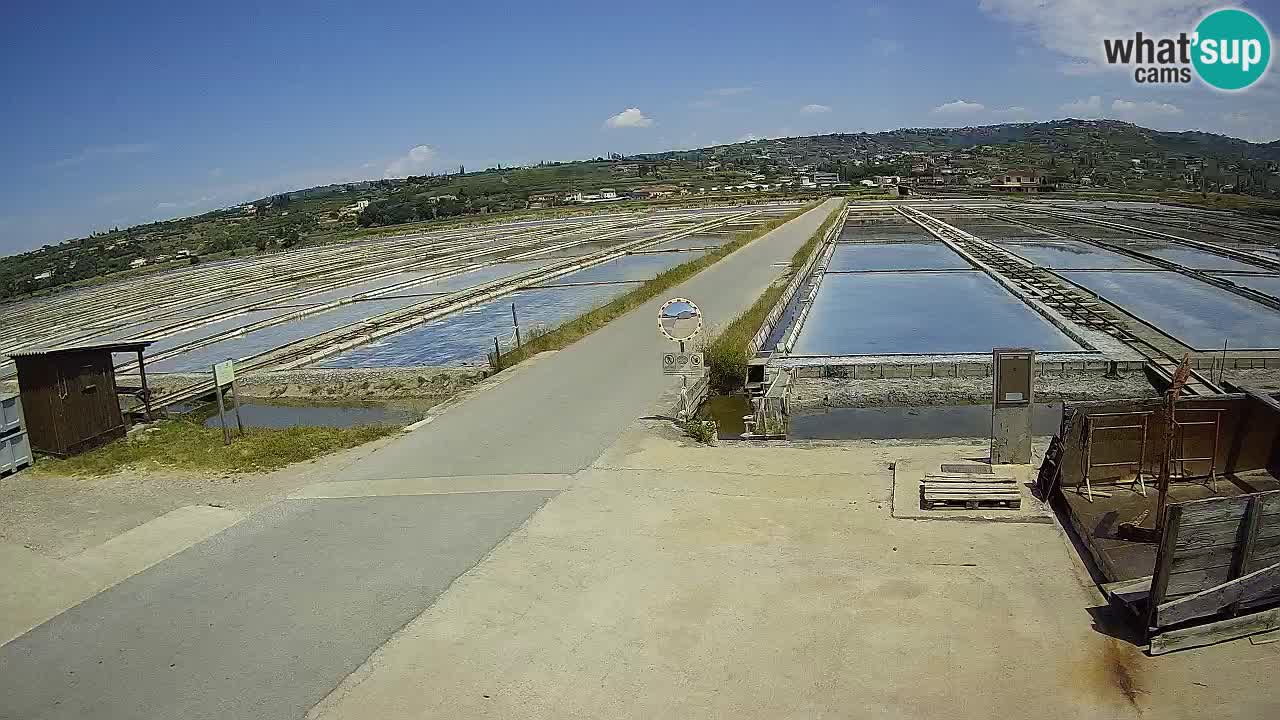 Krajinski Park Sečoveljske Soline