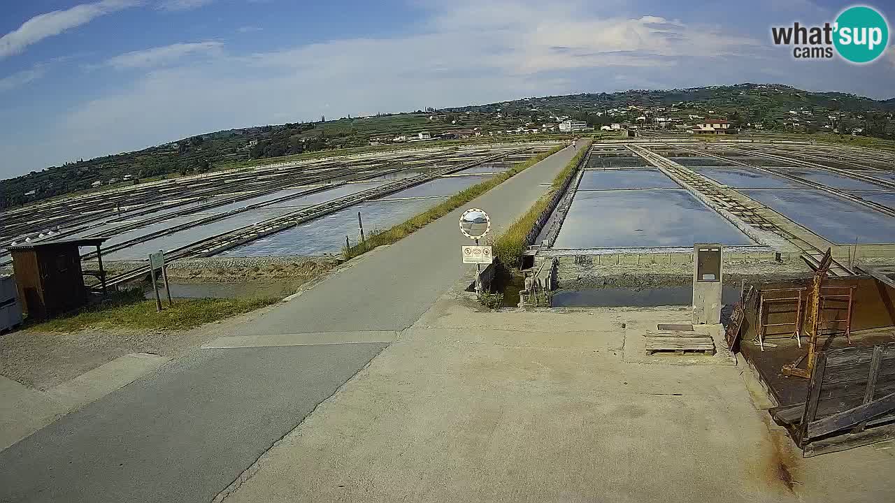 Sezza – Panorama e le saline