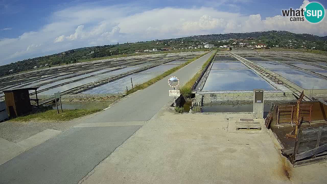 Krajinski Park Sečoveljske Soline