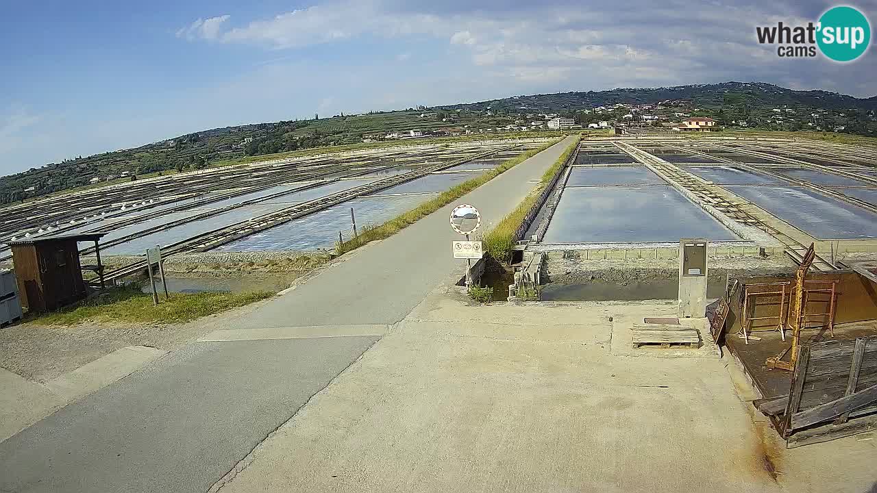 Park prirode Sečovlje Salina