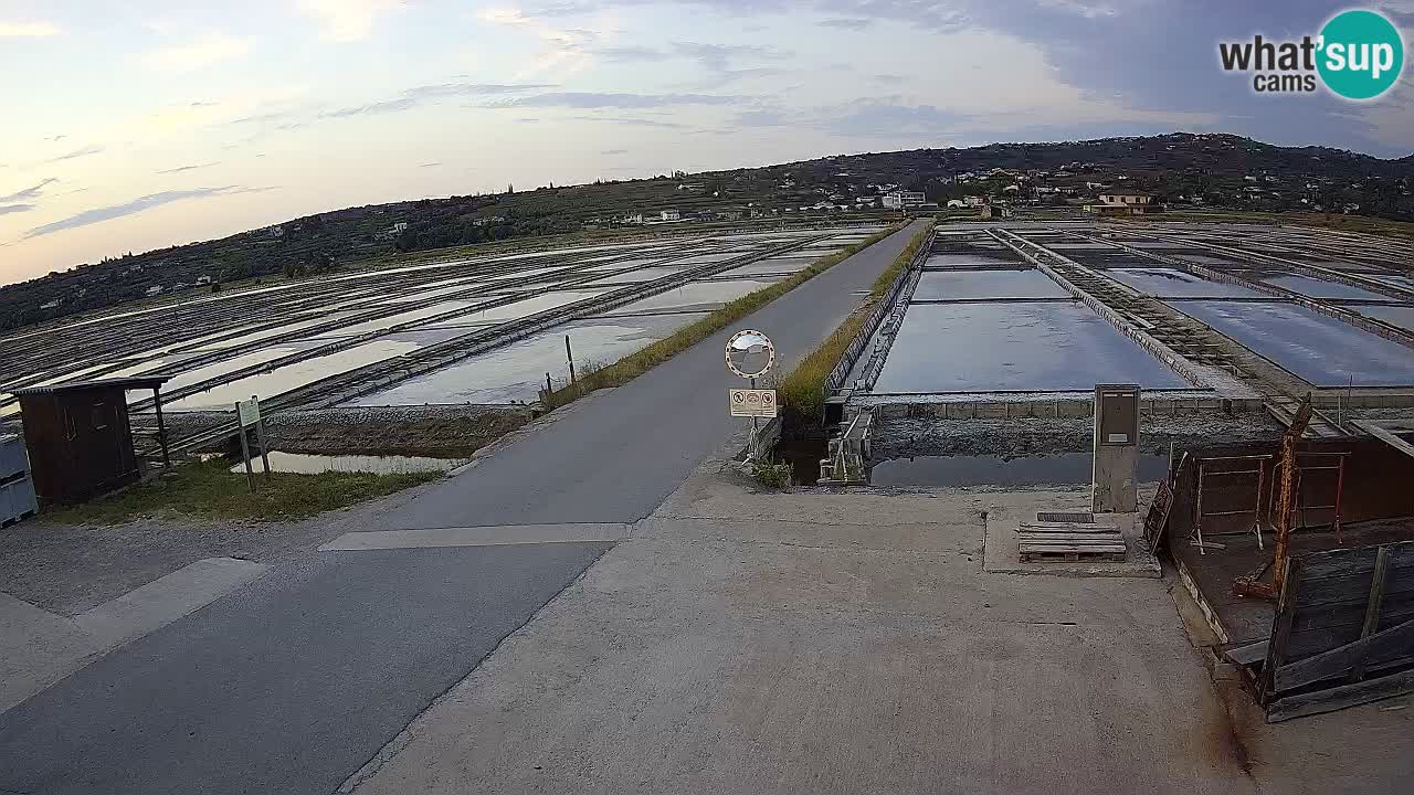 Sečovlje Salina Parque Natural