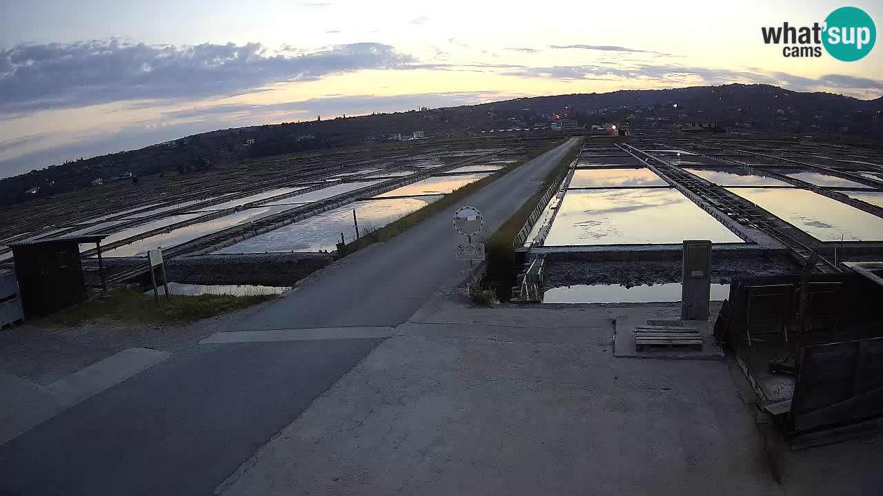 Sezza – Panorama e le saline