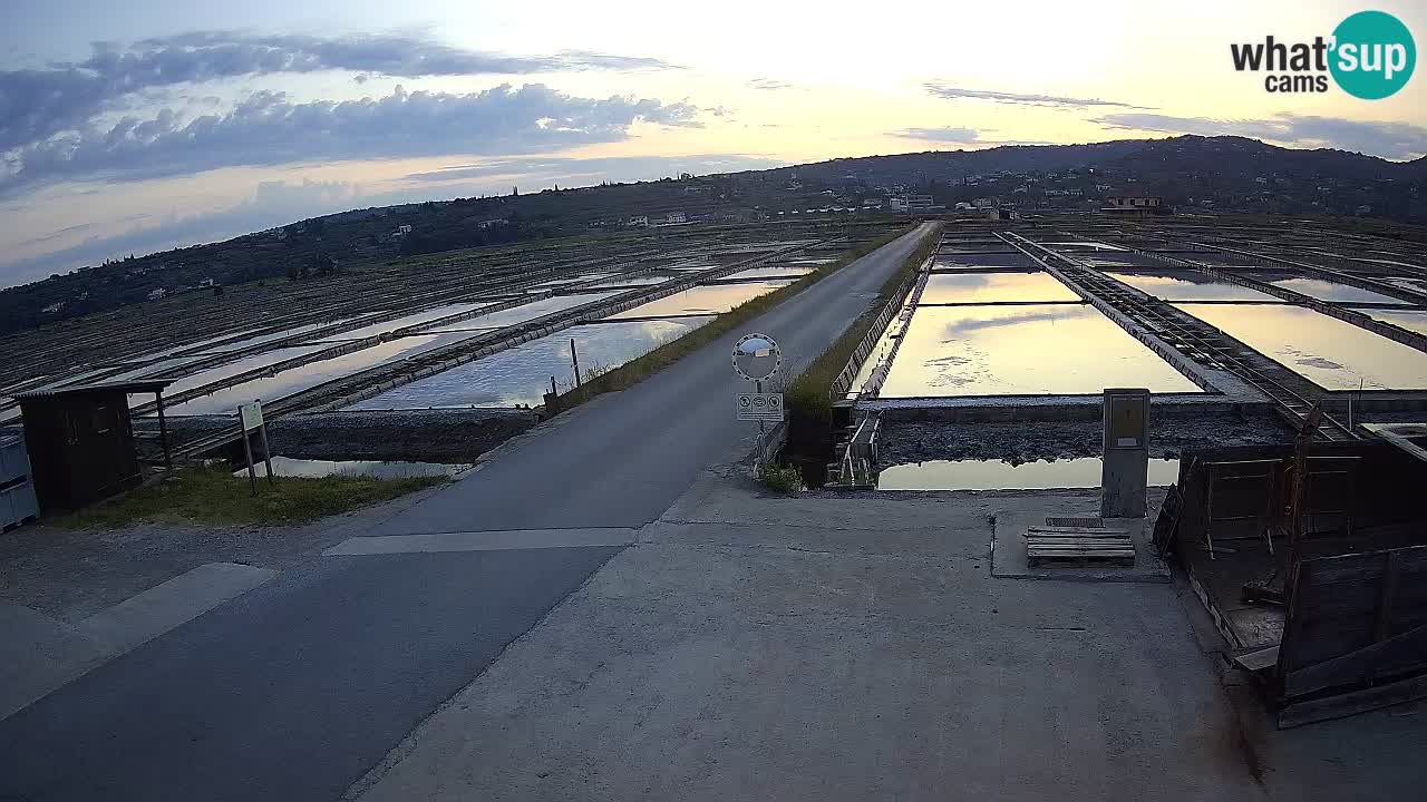 Seča – Panorama in soline
