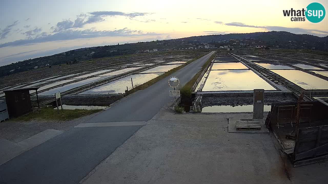 Seča – Panorama