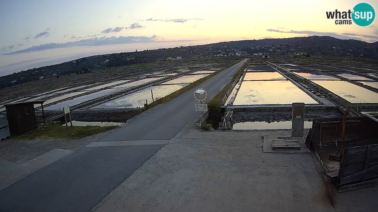 Seča – Panorama