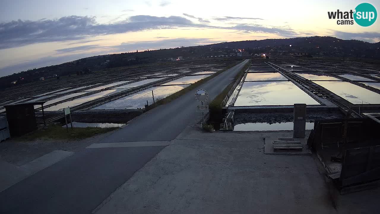 ﻿Sečovlje Salina Nature Park – KPSS