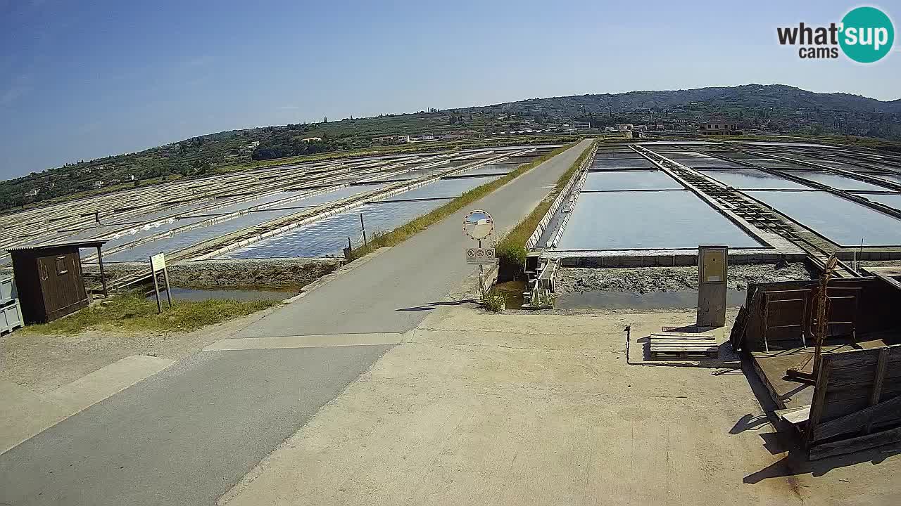 Parco Naturale Saline di Sicciole