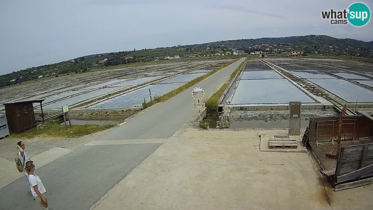 Sečovlje Salina Parque Natural
