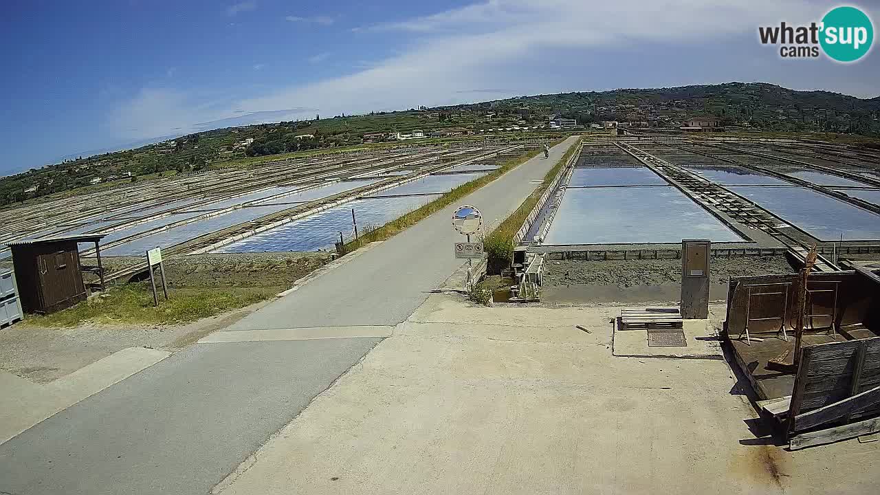 Sezza – Panorama e le saline