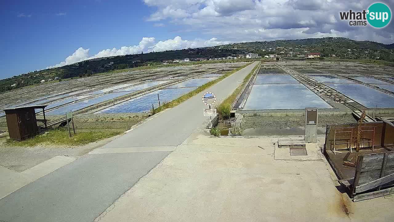 Seča – Panorama