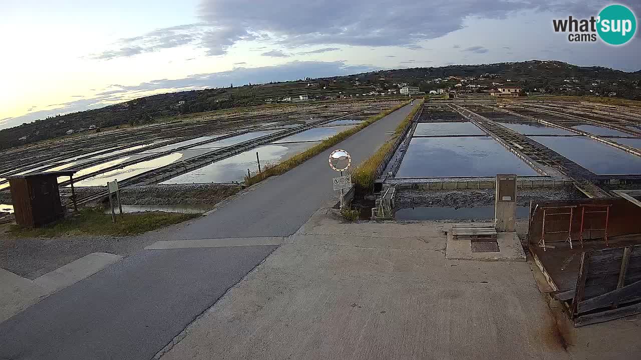 ﻿Sečovlje Salina Nature Park – KPSS