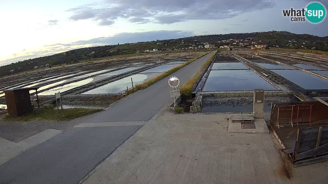Krajinski Park Sečoveljske Soline