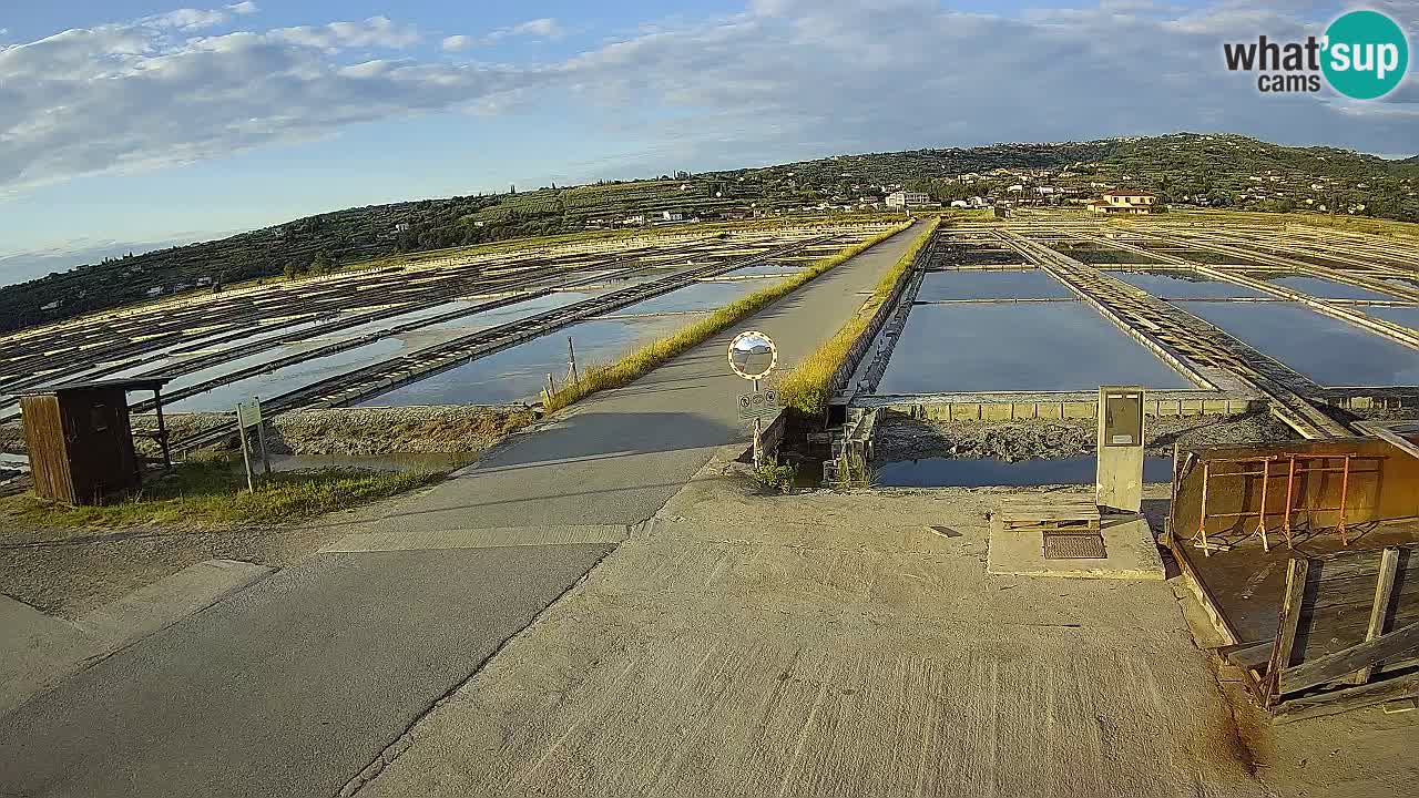 Seča – Panorama in soline