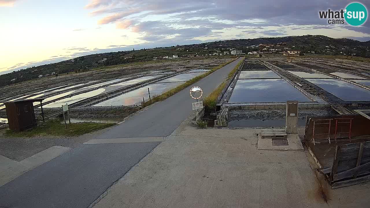 Krajinski Park Sečoveljske Soline