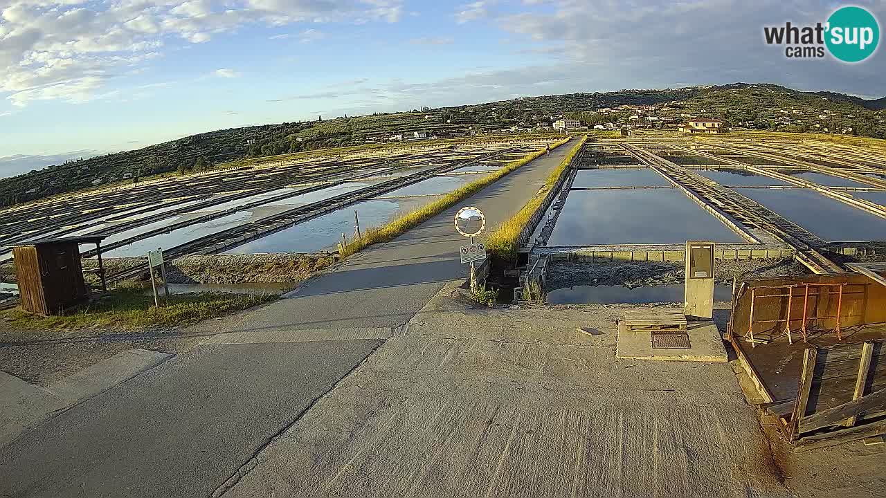 Park prirode Sečovlje Salina