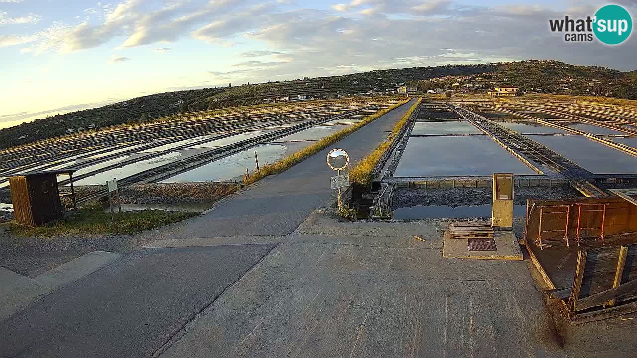 ﻿Sečovlje Salina Nature Park – KPSS