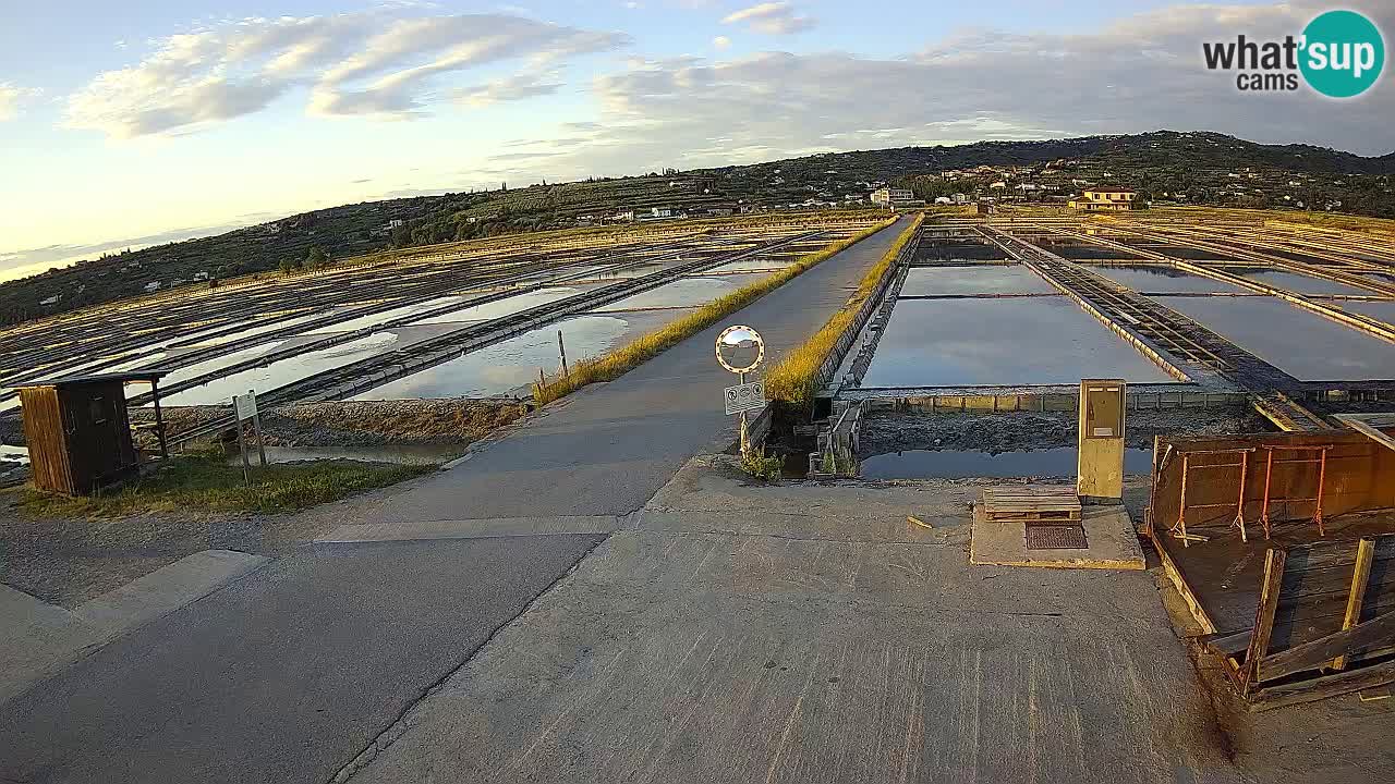 Sečovlje Salina Parque Natural