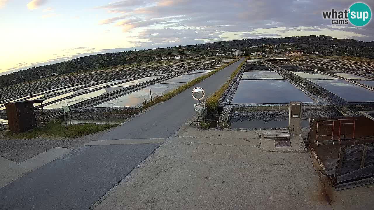 Krajinski Park Sečoveljske Soline