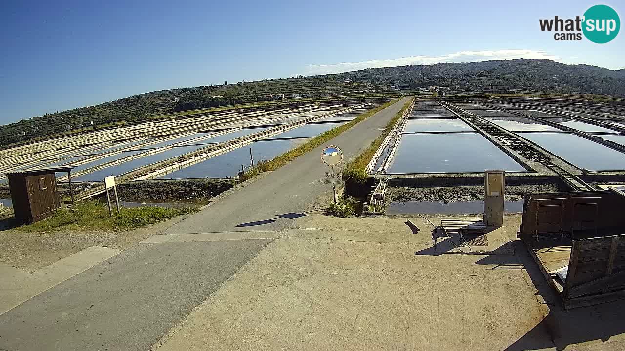 Sezza – Panorama e le saline