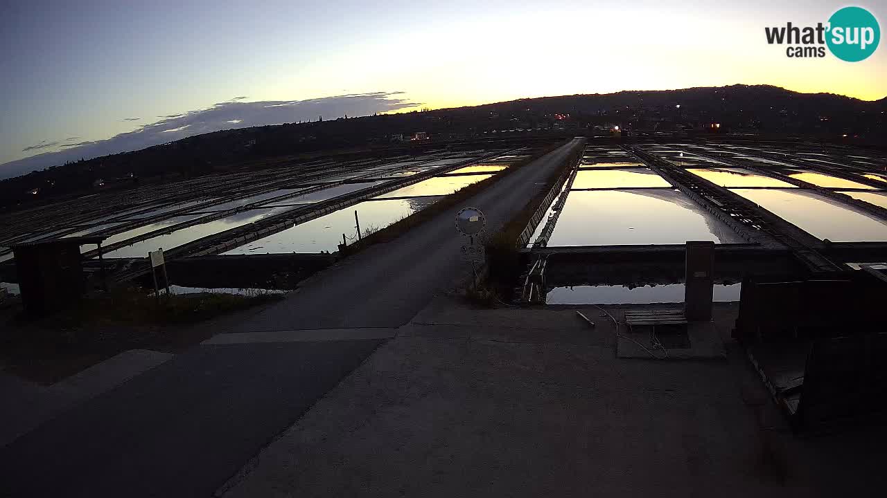 Park prirode Sečovlje Salina