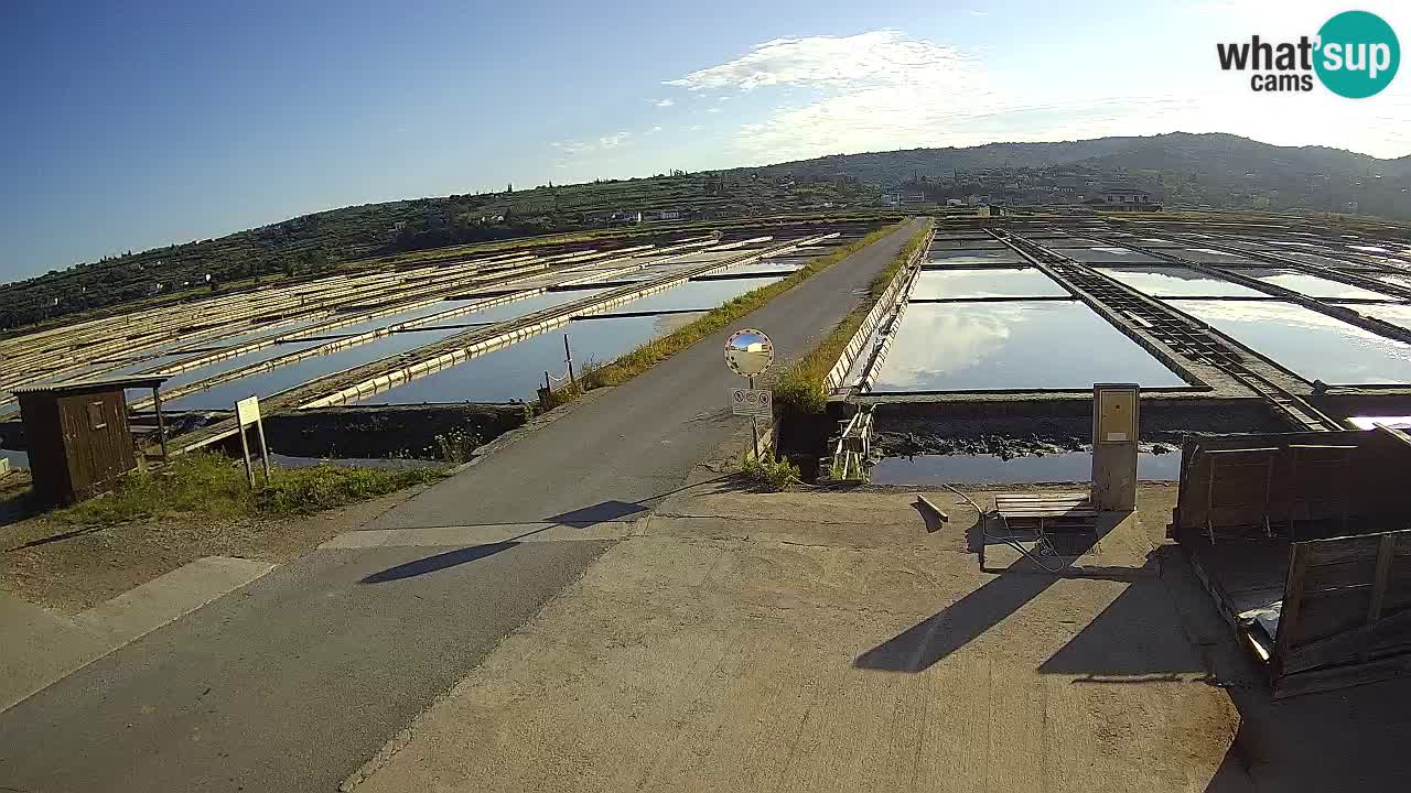 Parco Naturale Saline di Sicciole